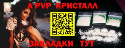 бошки Шелехов
