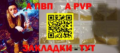 бошки Шелехов