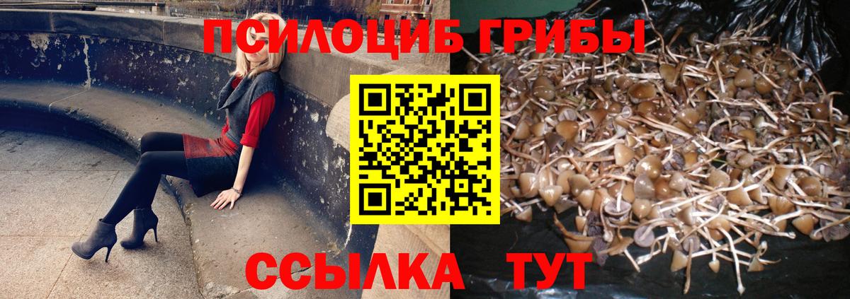 Псилоцибиновые грибы прущие грибы  Вход с VPN  Алексеевка 