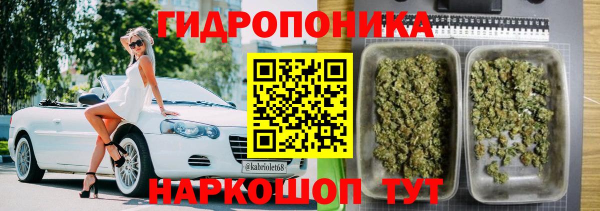 Конопля план Алексеевка
